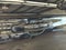 2024 Ford Expedition Timberline