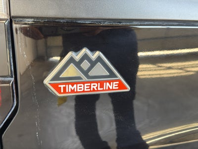 2024 Ford Expedition Timberline