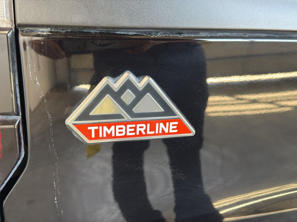2024 Ford Expedition Timberline