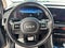2024 Kia Carnival SX